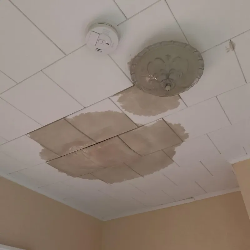 Ceiling Water Damage Repair in Salisbury, NC