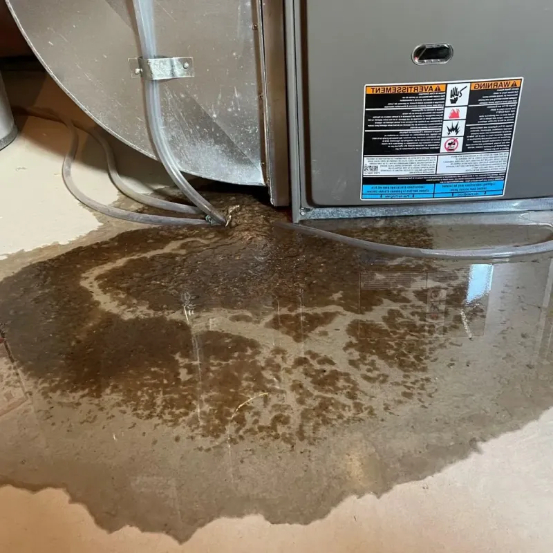 Pipe Burst and Leak Restoration in Salisbury, NC